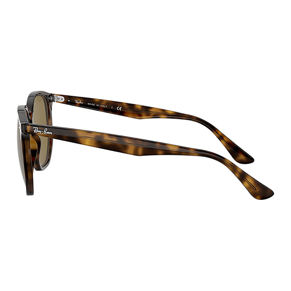 Ray-Ban RB4306 710/73 Shades