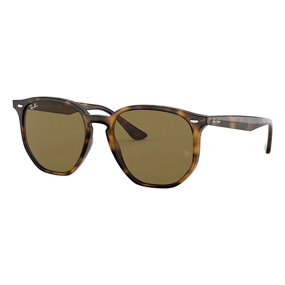 Ray-Ban RB4306 710/73 Shades