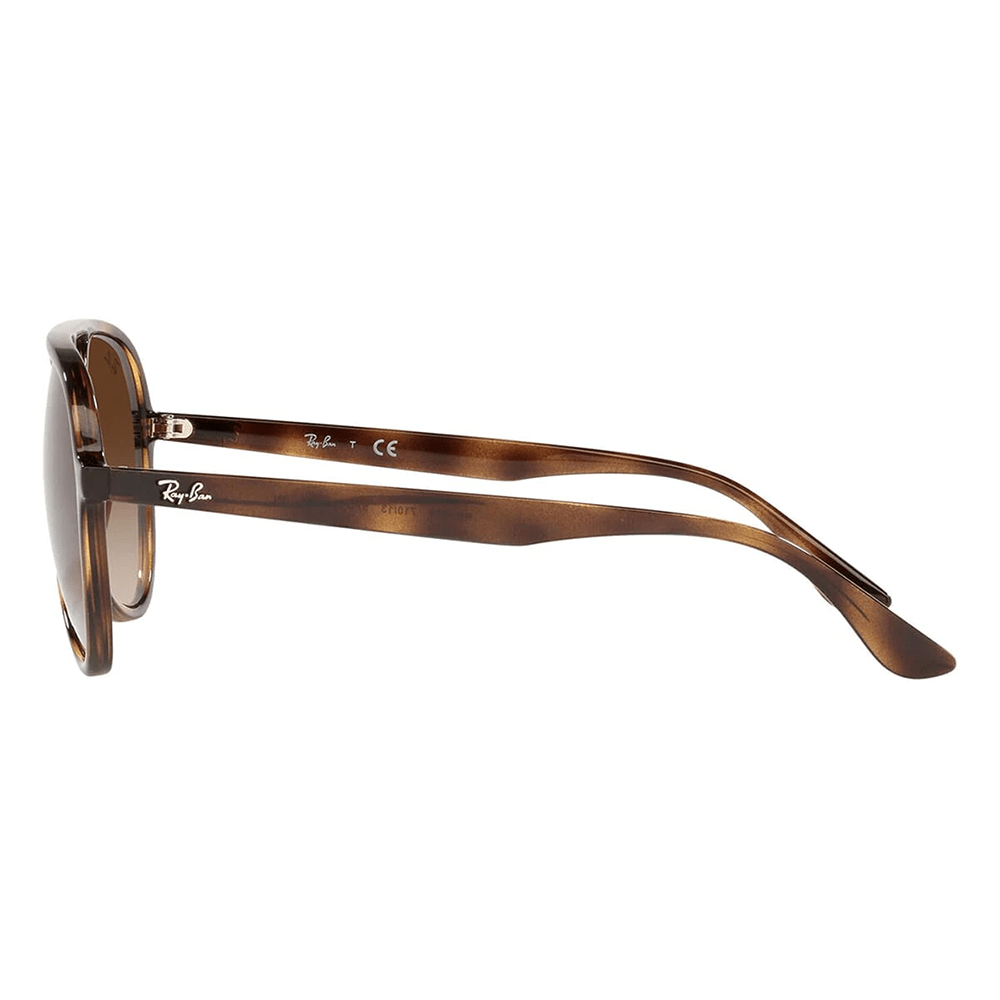 Ray-Ban RB4376 710/13 Shades