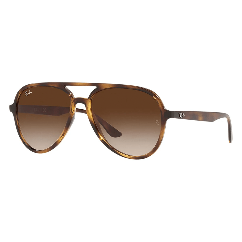 Ray-Ban RB4376 710/13 Shades