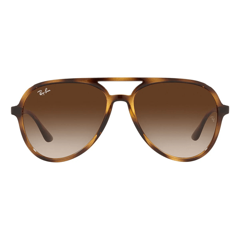 Ray-Ban RB4376 710/13 Shades