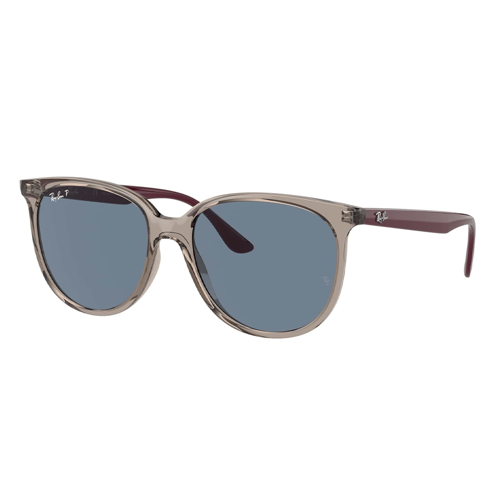 Ray-Ban RB4378 65722V Polarized Shades