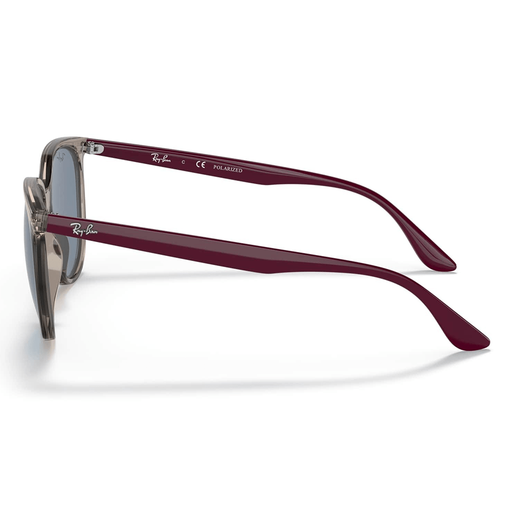 Ray-Ban RB4378 65722V Polarized Shades