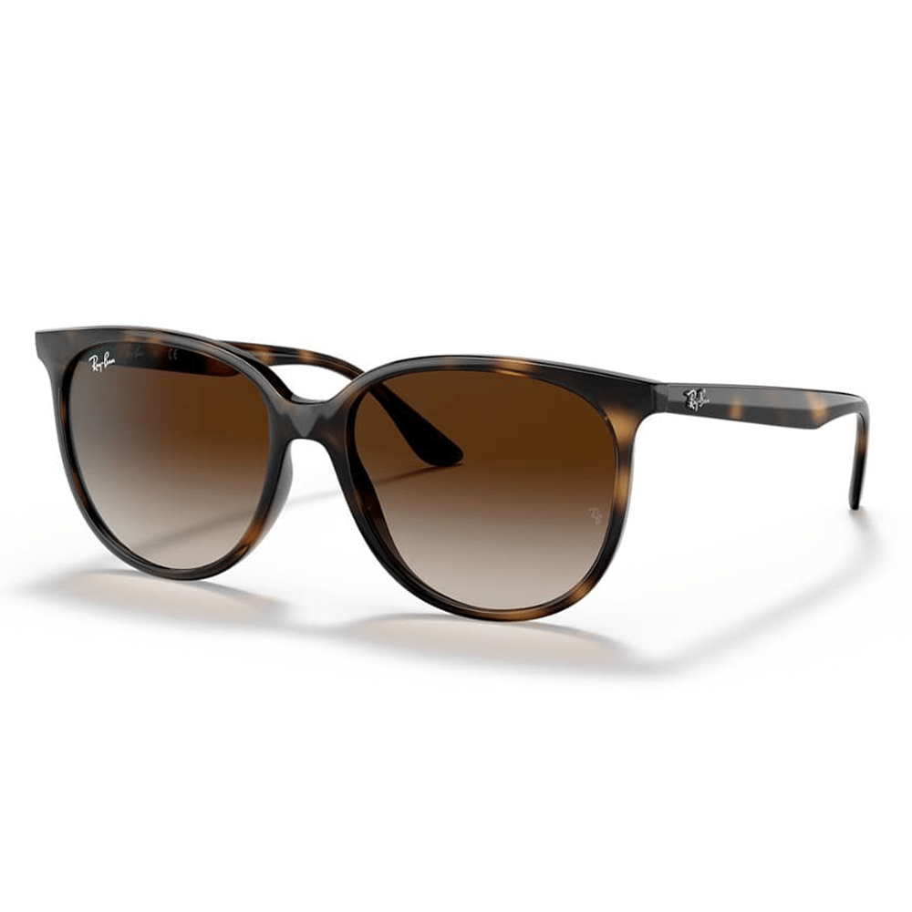 Ray-Ban RB4378 710/13 Shades