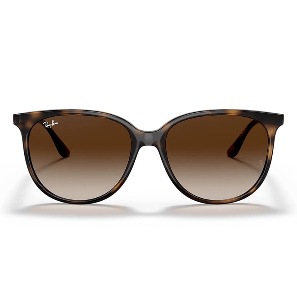 Ray-Ban RB4378 710/13 Shades