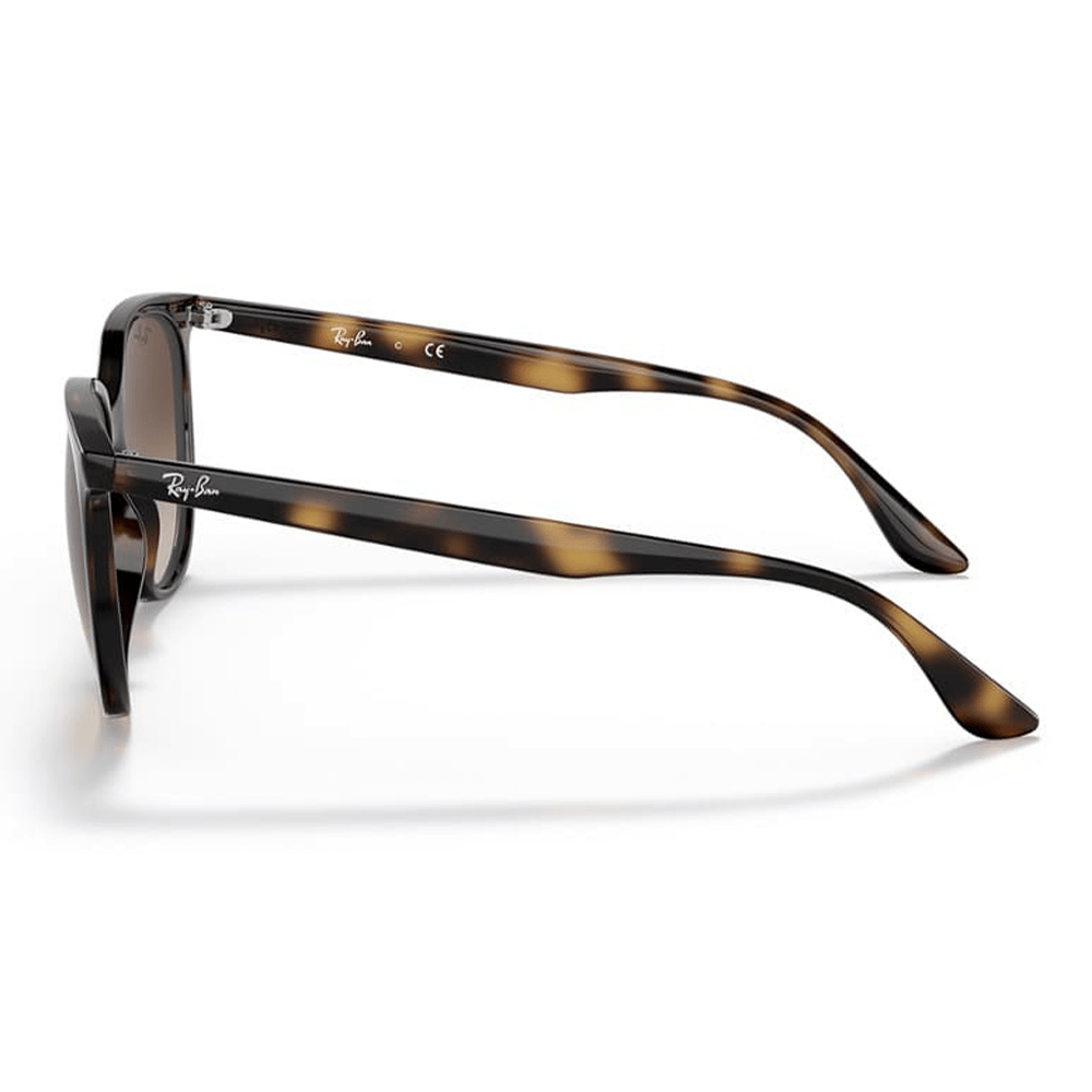 Ray-Ban RB4378 710/13 Shades