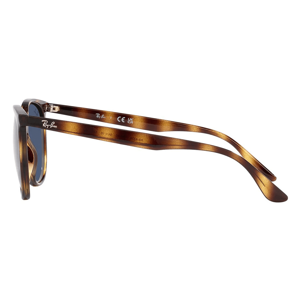 Ray-Ban RB4378 710/80 Shades