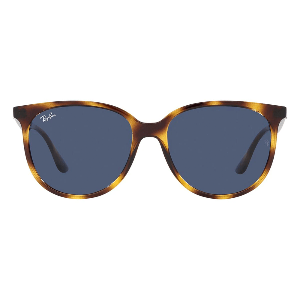 Ray-Ban RB4378 710/80 Shades