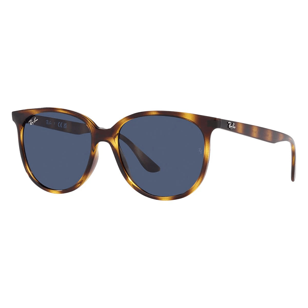 Ray-Ban RB4378 710/80 Shades