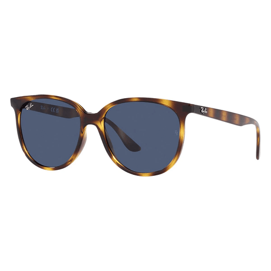 Ray-Ban RB4378 710/80 Shades