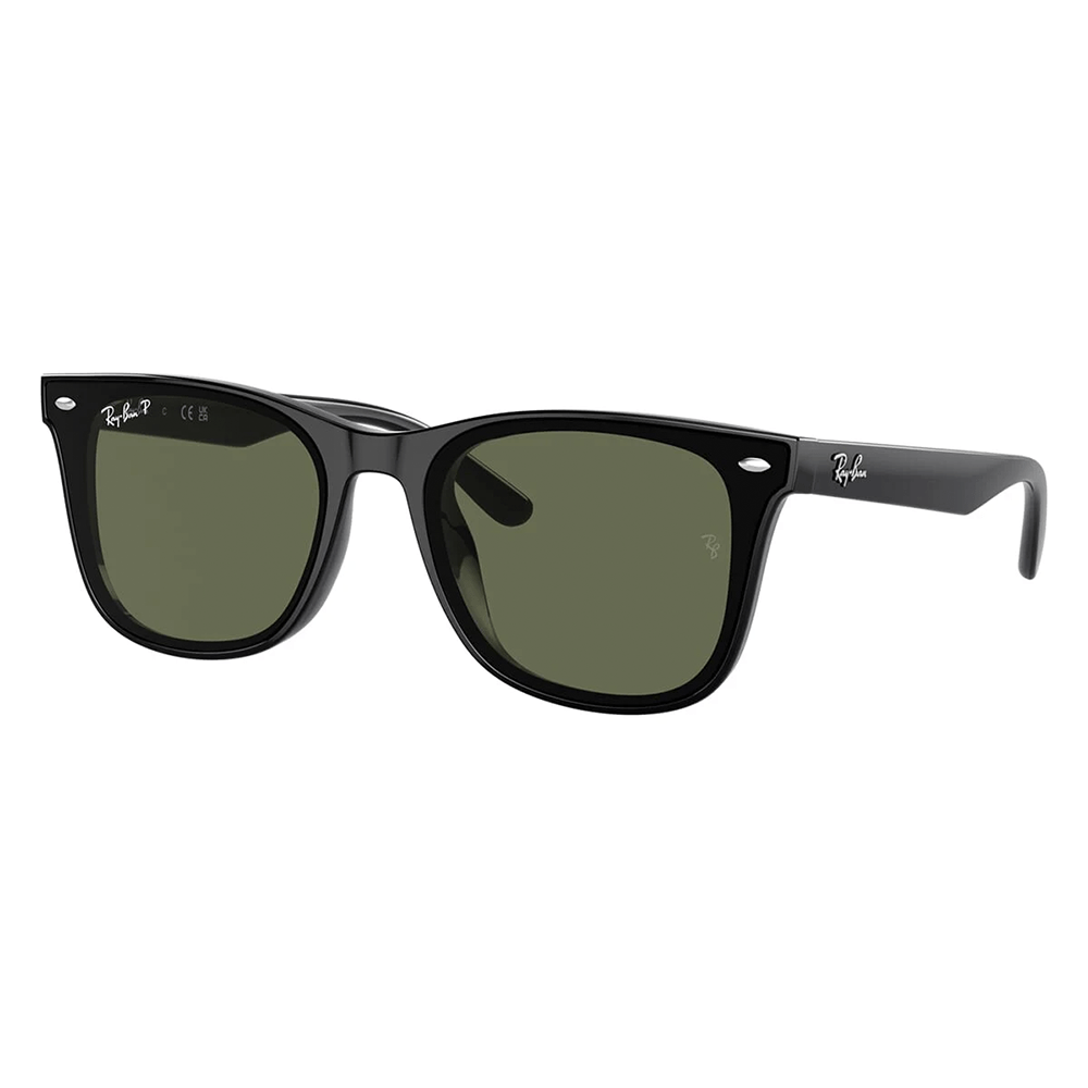 Ray-Ban RB4420 601/9A Polarized Shades