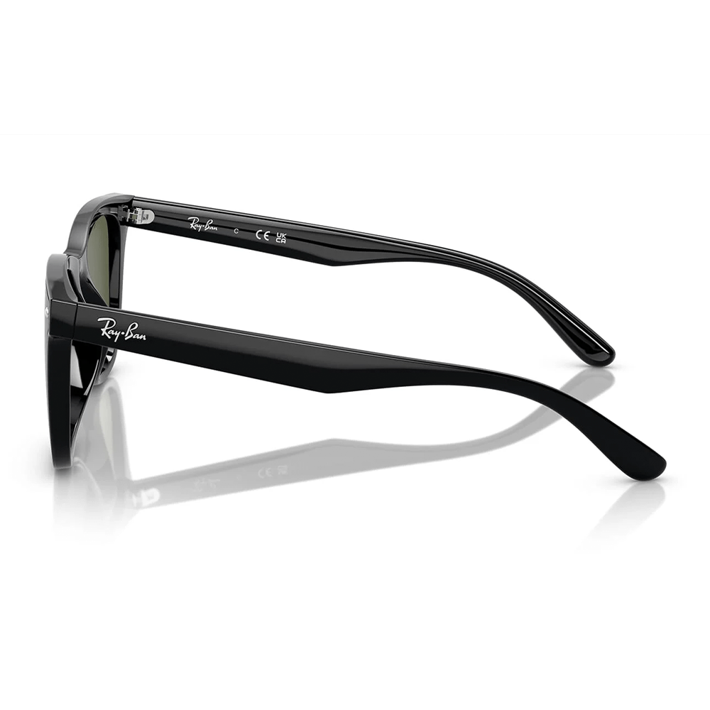 Ray-Ban RB4420 601/9A Polarized Shades