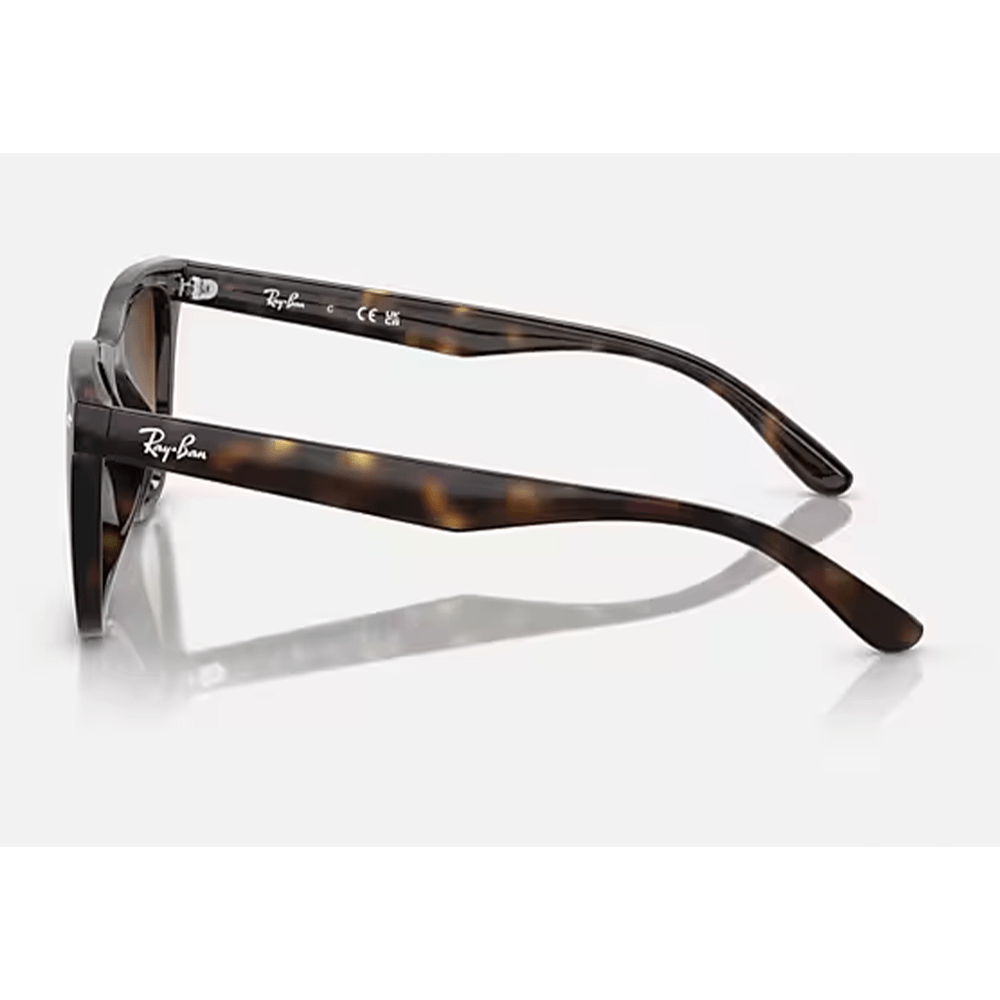 Ray-Ban RB4420 710/13 Shades
