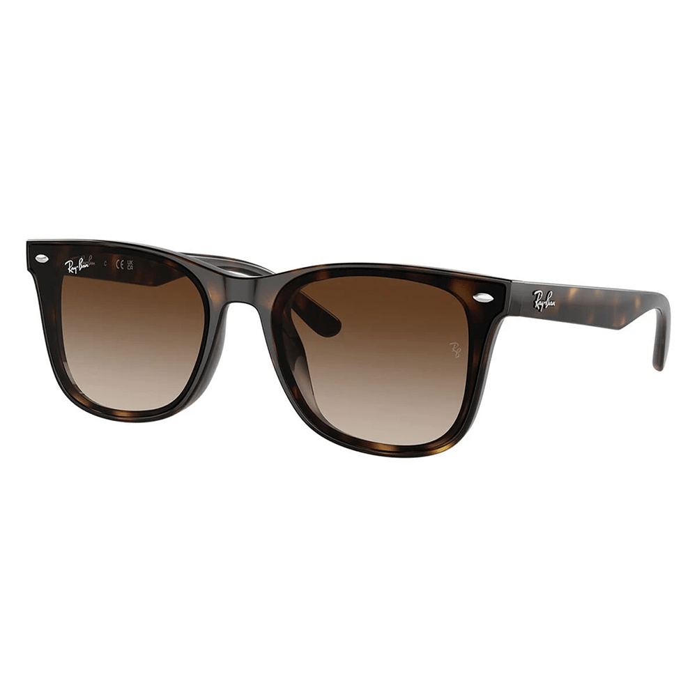 Ray-Ban RB4420 710/13 Shades