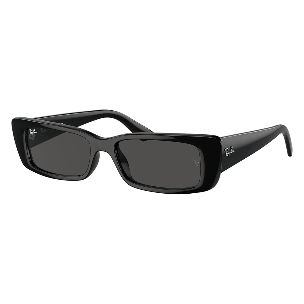 Ray-Ban RB4425 667787 Shades
