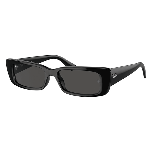 Ray-Ban RB4425 667787 Shades