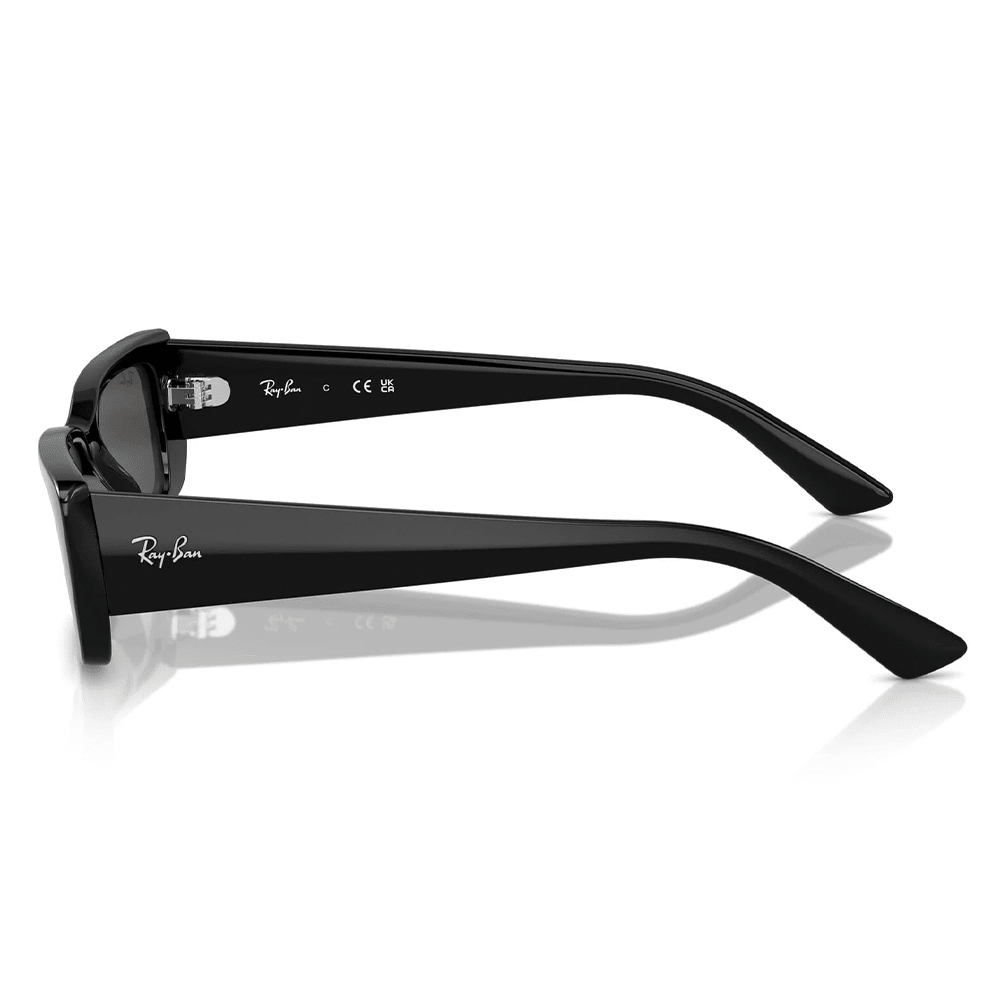 Ray-Ban RB4425 667787 Shades