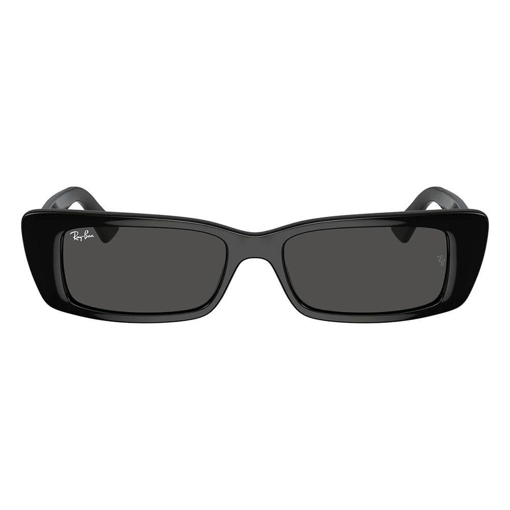 Ray-Ban RB4425 667787 Shades