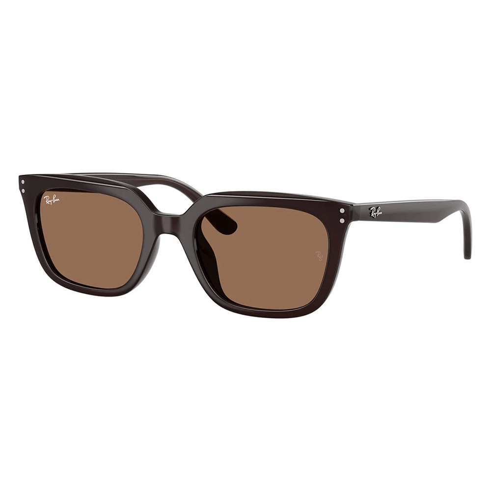 Ray-Ban RB4439D 6231/73 Shades