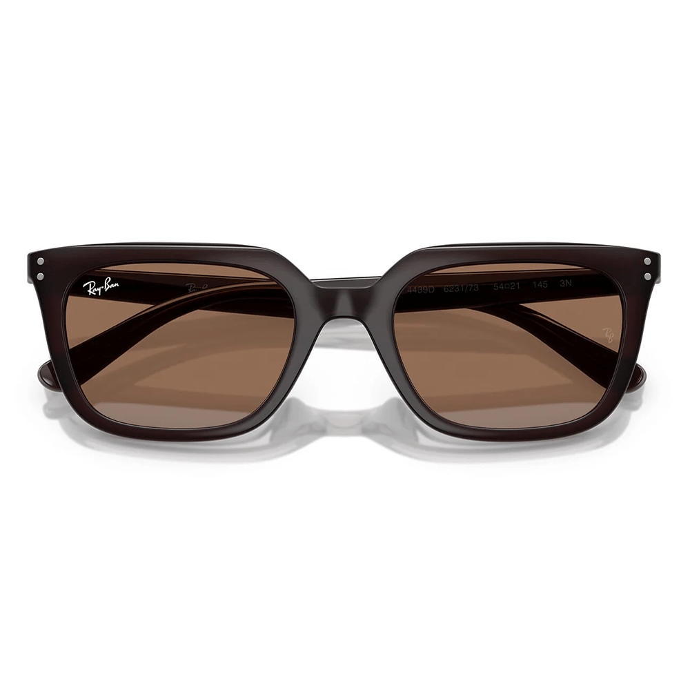 Ray-Ban RB4439D 6231/73 Shades