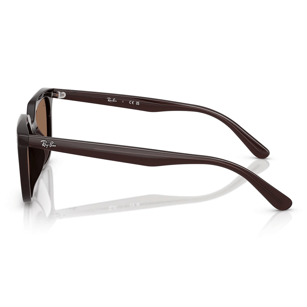 Ray-Ban RB4439D 6231/73 Shades