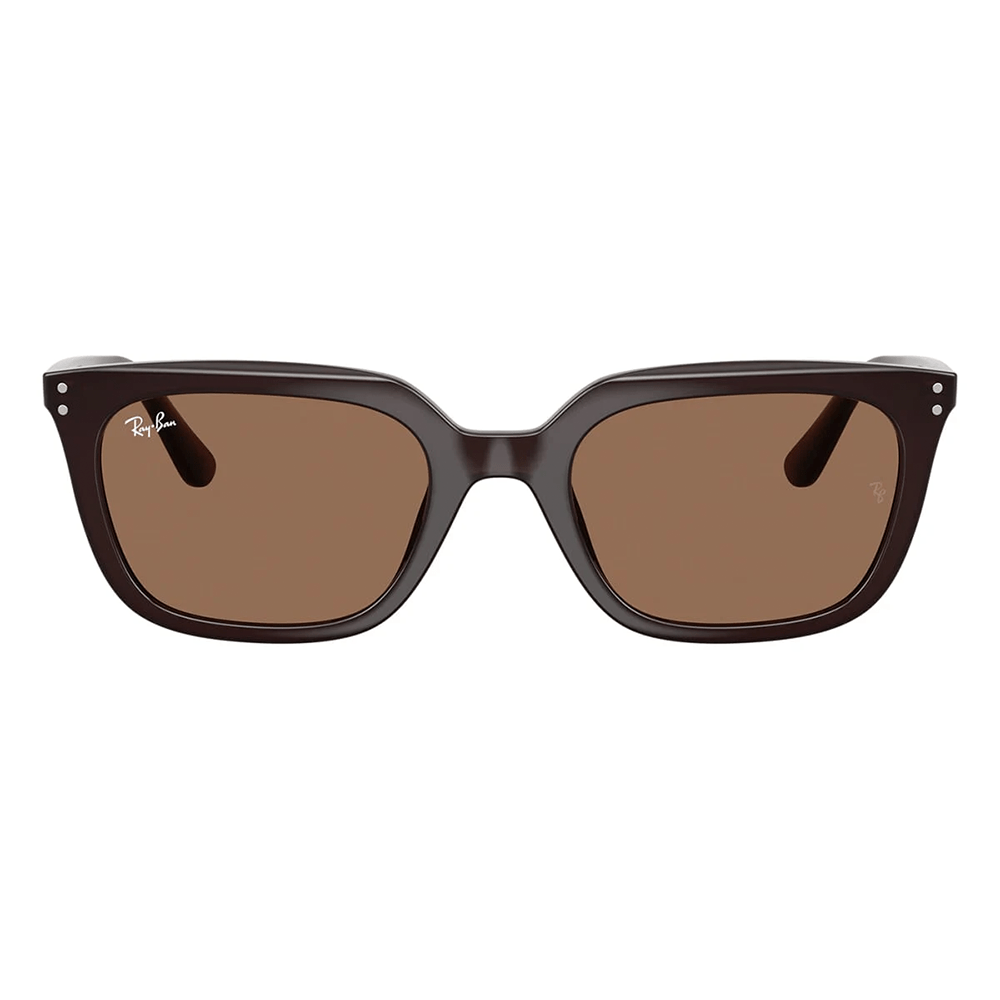 Ray-Ban RB4439D 6231/73 Shades