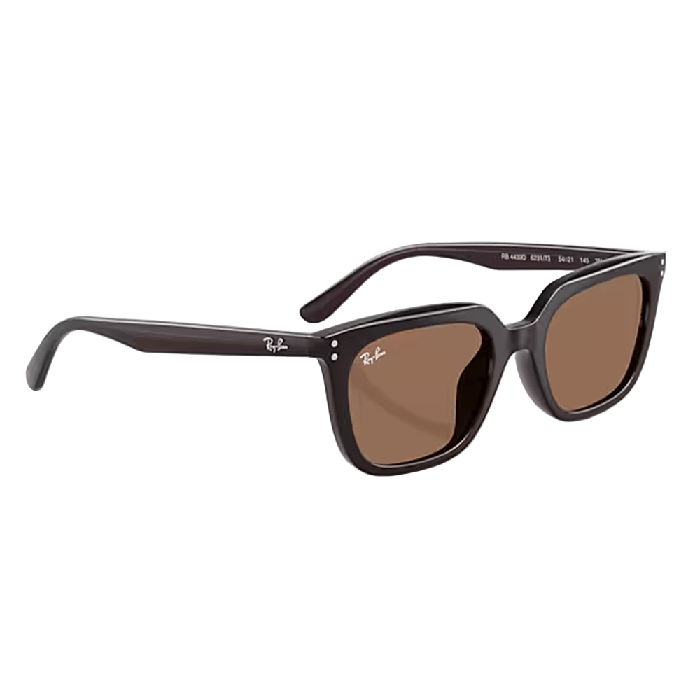 Ray-Ban RB4439D 6231/73 Shades