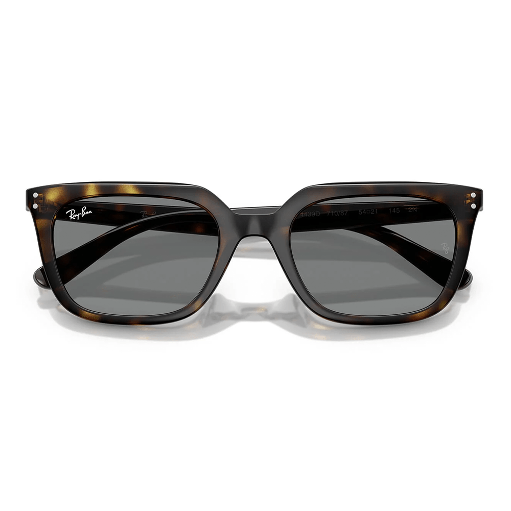 Ray-Ban RB4439D 710/87 Shades