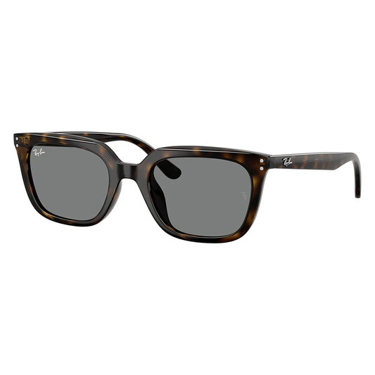 Ray-Ban RB4439D 710/87 Shades