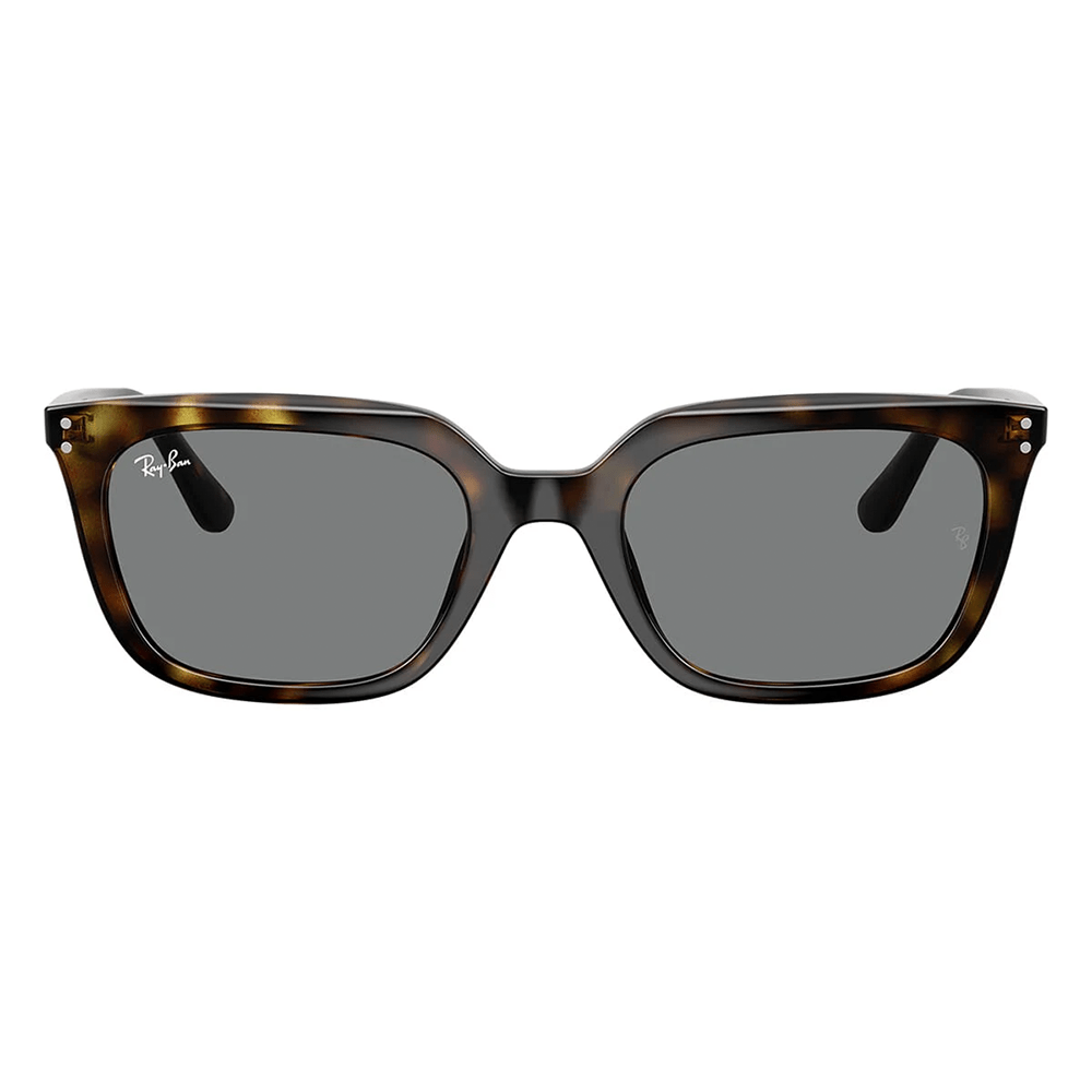 Ray-Ban RB4439D 710/87 Shades