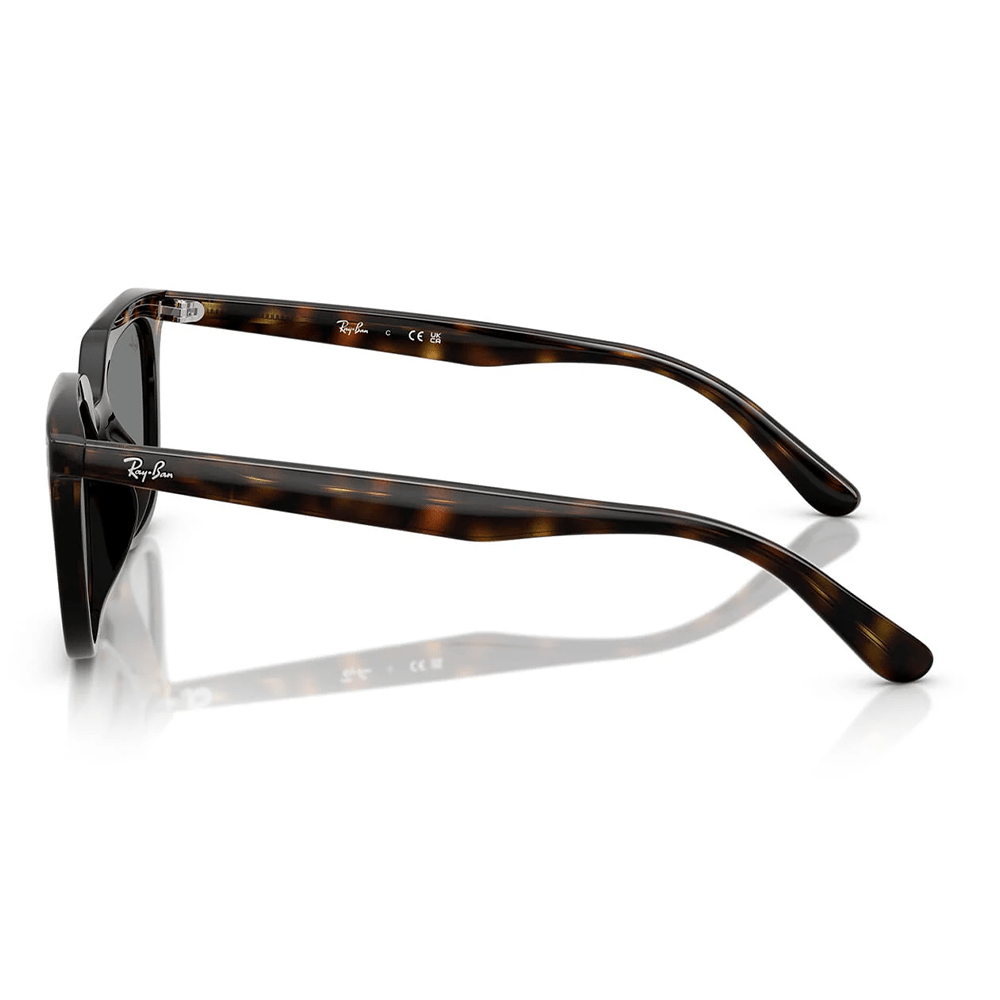 Ray-Ban RB4439D 710/87 Shades
