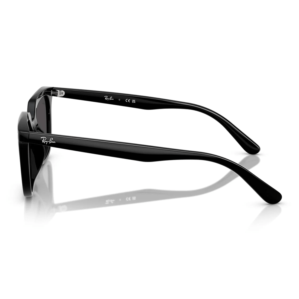 Ray-Ban RB4439D 901/87 Shades