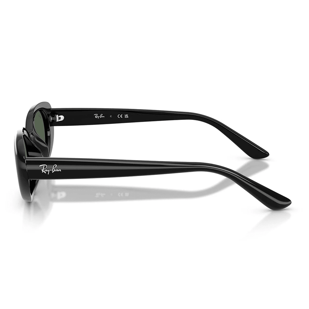 Ray-Ban RB4441D 667771 Shades