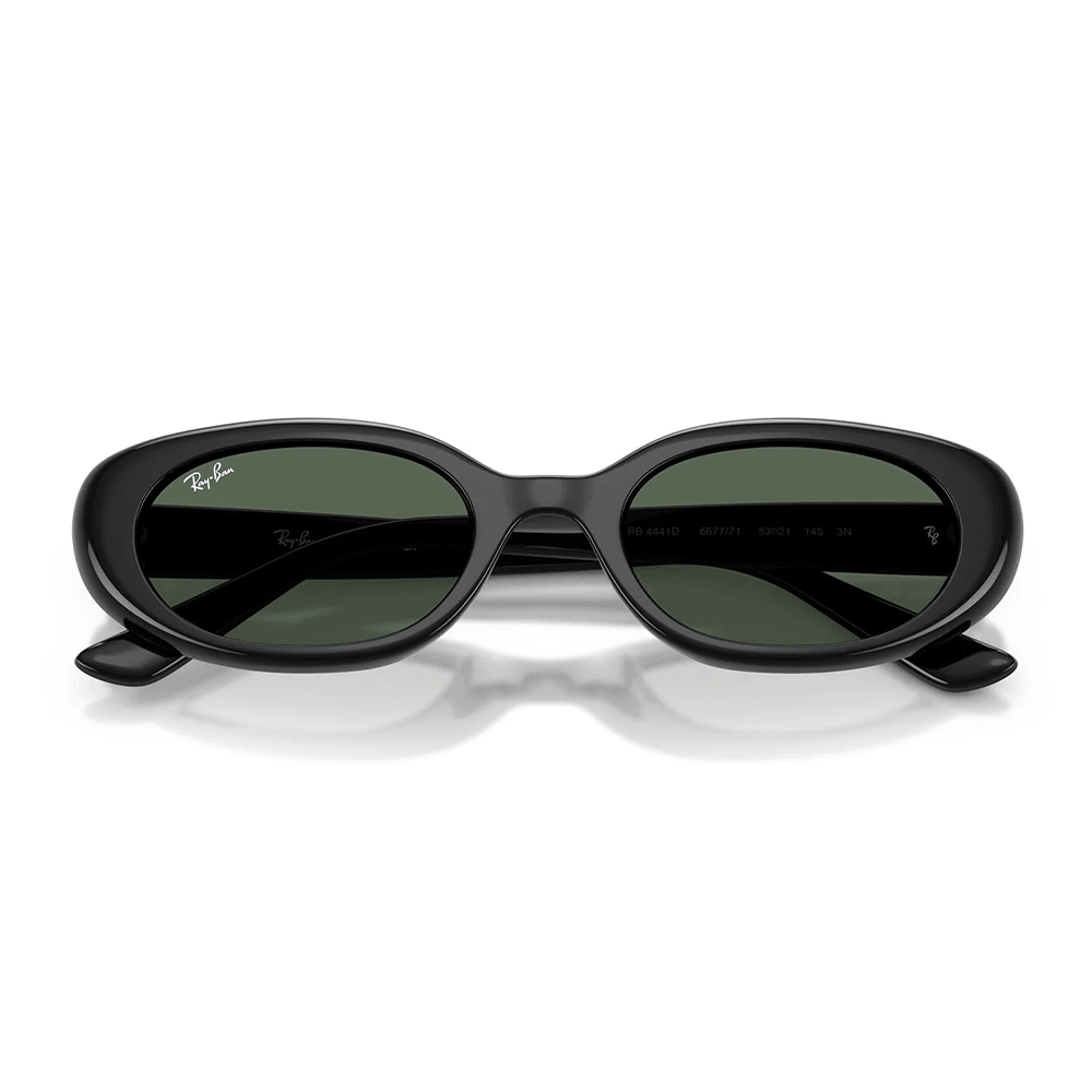 Ray-Ban RB4441D 667771 Shades