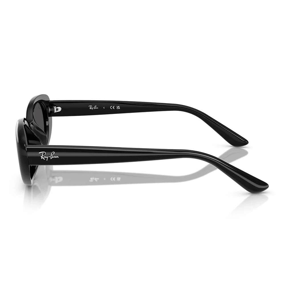 Ray-Ban RB4441D 667787 Shades