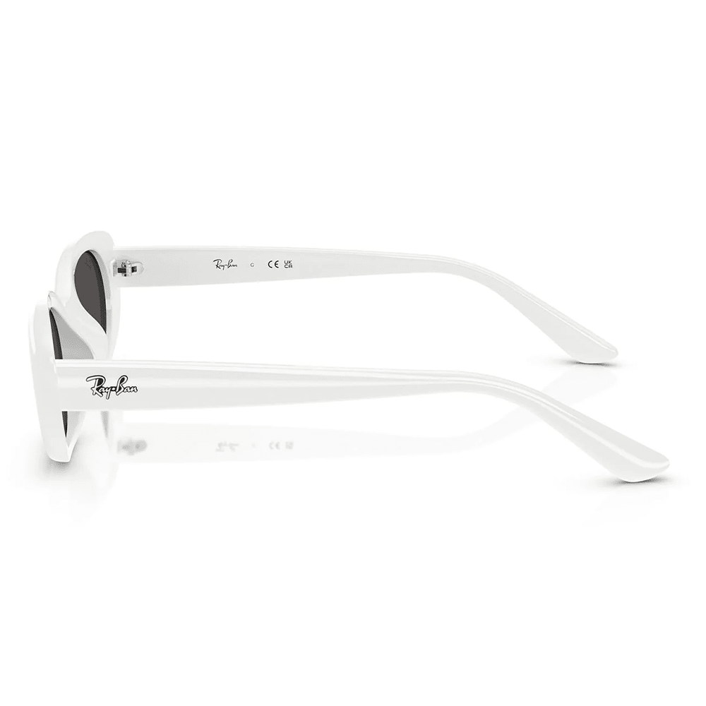 Ray-Ban RB4441D 677287 Shades