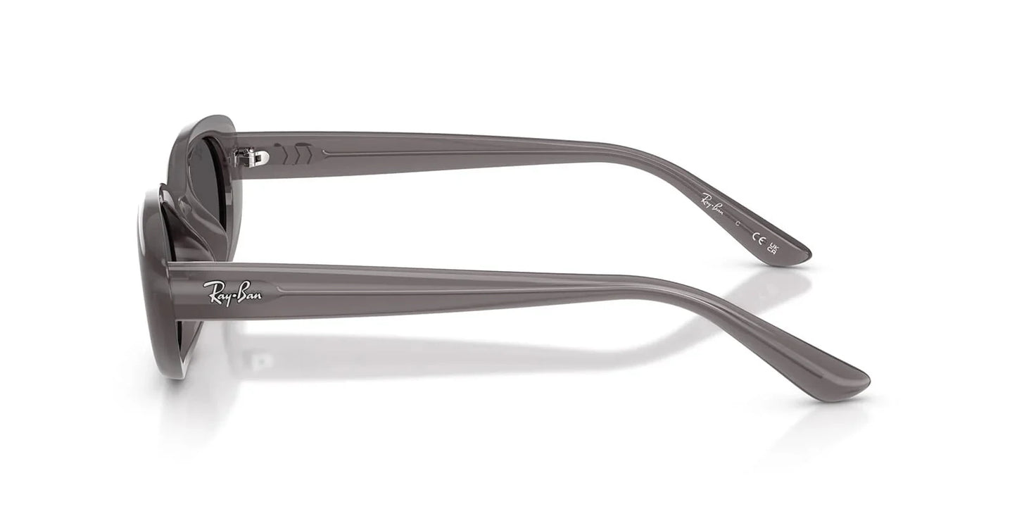 Ray-Ban RB4441D 677787 Shades