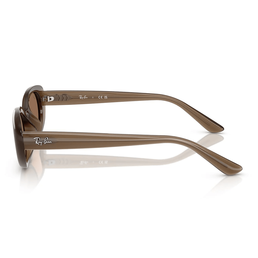 Ray-Ban RB4441D 677973 Shades