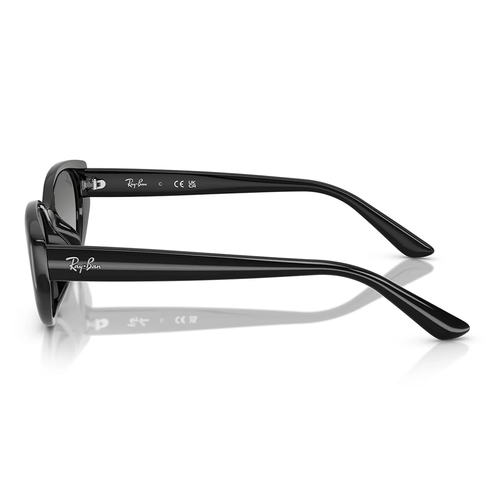 Ray-Ban RB4457D 667711 Shades