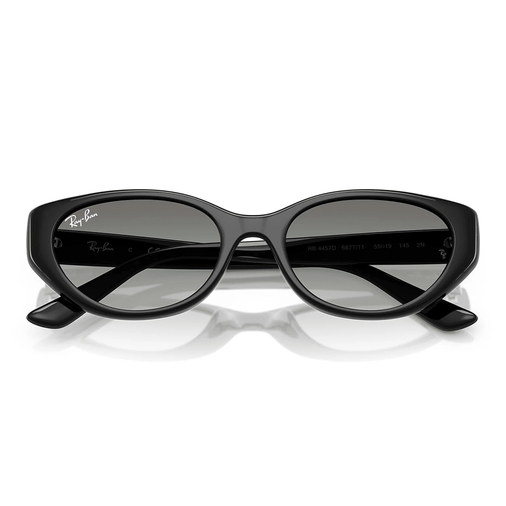 Ray-Ban RB4457D 667711 Shades