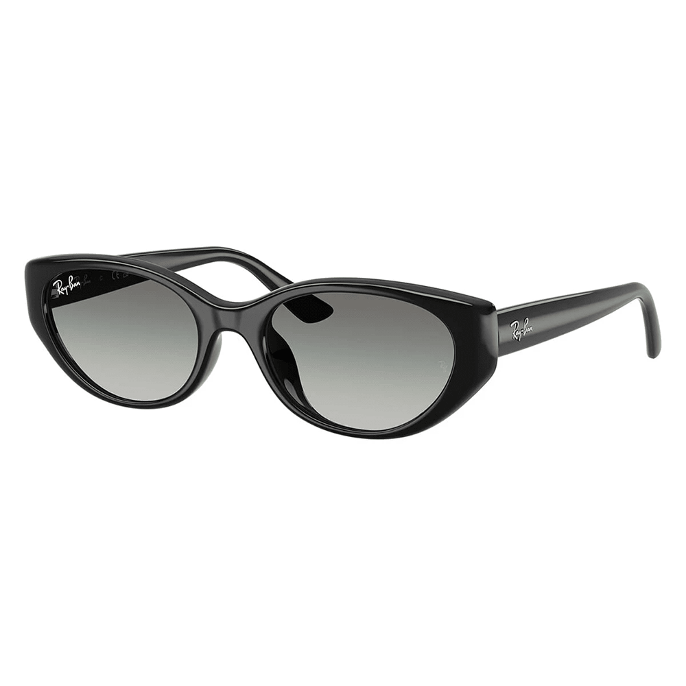 Ray-Ban RB4457D 667711 Shades