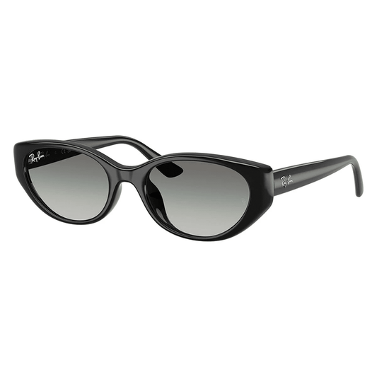 Ray-Ban RB4457D 667711 Shades
