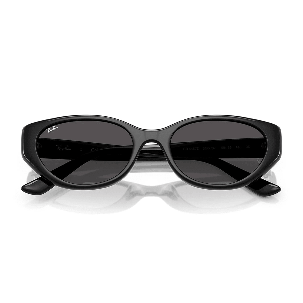 Ray-Ban RB4457D 667787 Shades