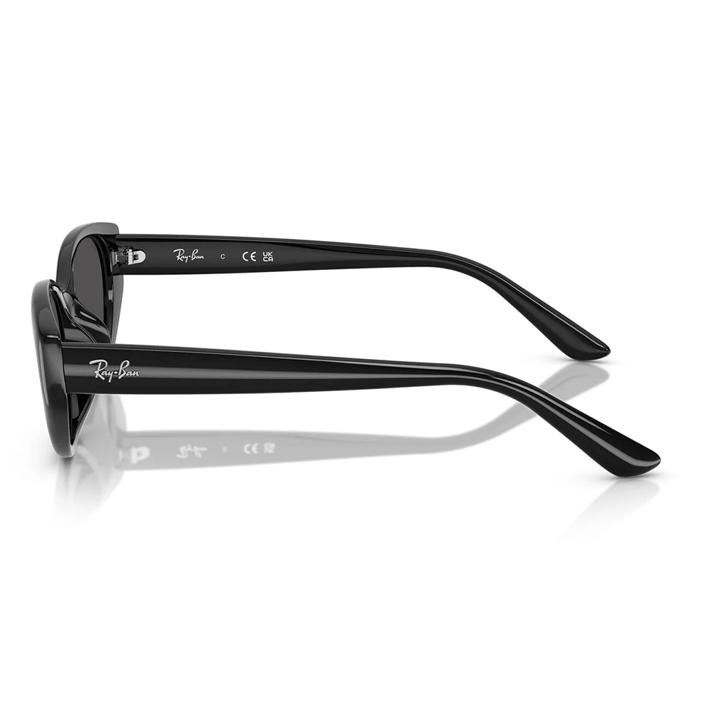 Ray-Ban RB4457D 667787 Shades