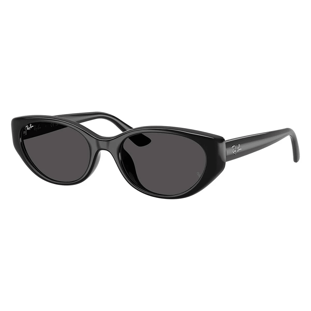 Ray-Ban RB4457D 667787 Shades