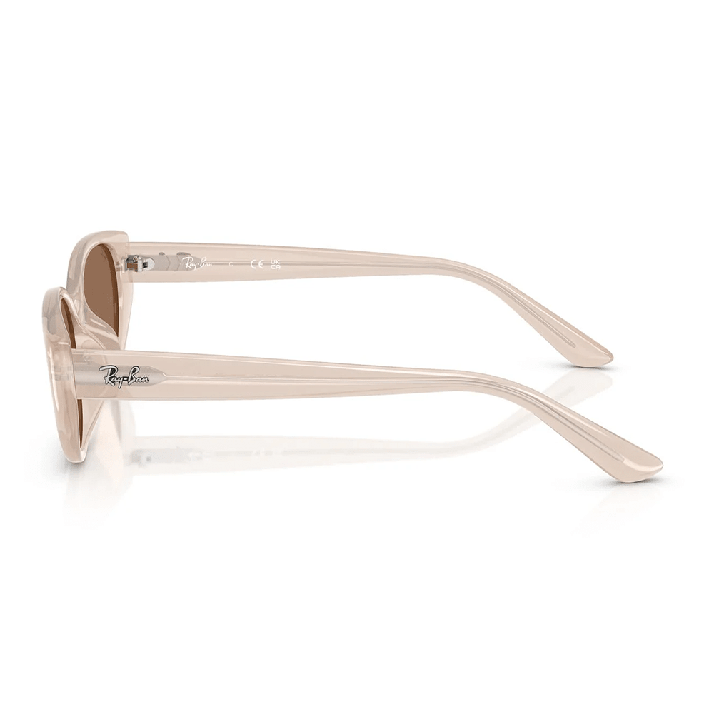 Ray-Ban RB4457D 678673 Shades