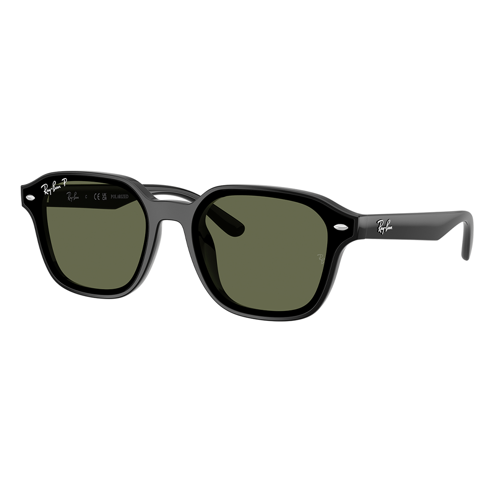 Ray-Ban RB4458D 601/9A Polarized Shades