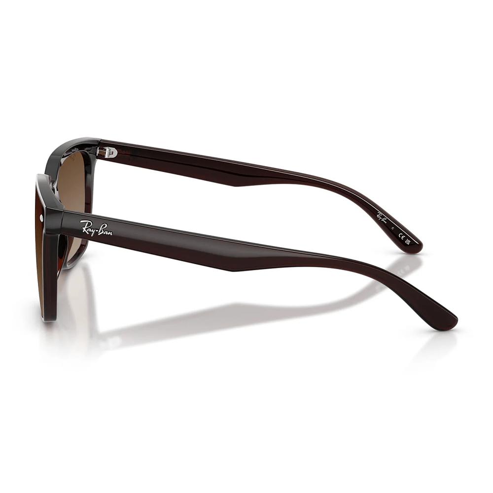 Ray-Ban RB4466D 714/13 Shades