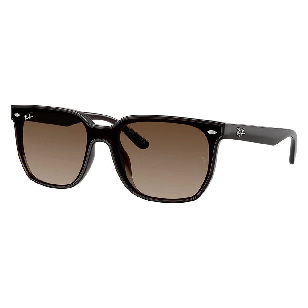 Ray-Ban RB4466D 714/13 Shades