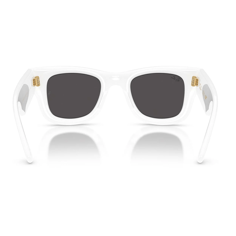 Ray-Ban RB4940 Wayfarer Puffer 671/87 by A$AP Rocky Shades